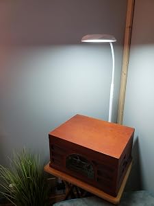EDISHINE Gooseneck Floor Lamp customer photo 2 of 3