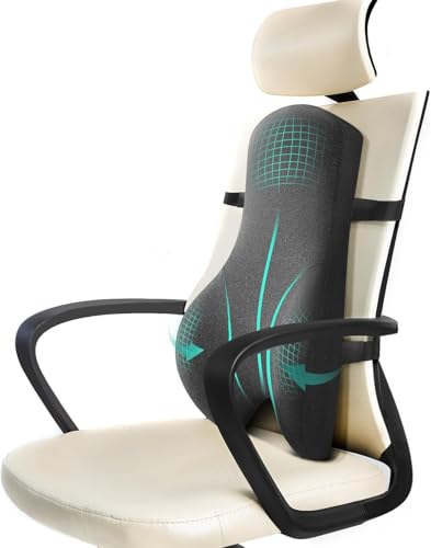 Dreamer Car High Back Support Memory Foam Lumbar Pillow for Office Chair