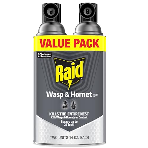 Raid Wasp & Hornet Killer Outdoor Flying Insect Spray