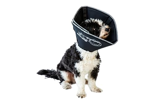 All Four Paws Comfy Cone Soft Pet Recovery Collar
