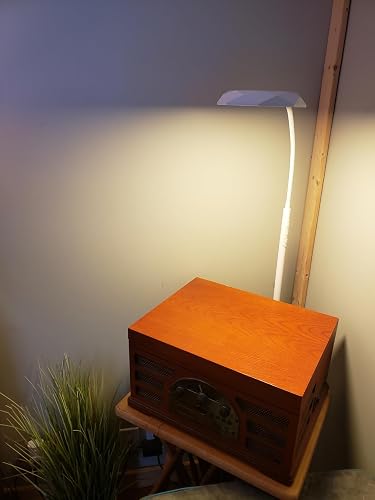 EDISHINE Gooseneck Floor Lamp customer review photo